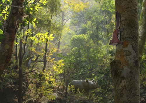 Ardilla en un ambiente forestal mediterráneo de hace 10 millones de años. Imagen: Óscar Sanisidro.