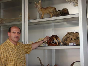 Miguel Lizana Avia, experto en biodiversidad del área de Zoología de la Universidad de Salamanca.