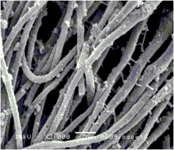 Imagen de microscopio con la que los investigadores analizan la adherencia de los materiales.