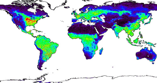 Fotosíntesis a escala global. Imagen: CSIC.