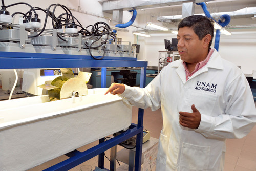 Germán Buitrón Méndez señaló que con este proyecto es posible tratar aguas residuales y obtener un producto de valor agregado, como los biocombustibles.