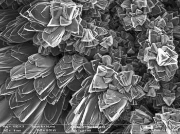 Imagen de las partículas de Geosilex en el microscopio. Foto: Geosilex Trenza Metal.