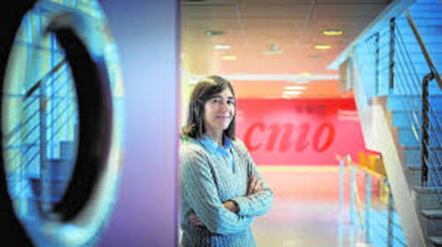 María A. Blanco, directora del Centro Nacional de Investigaciones Oncólogicas (CNIO). FOTO: ULE.