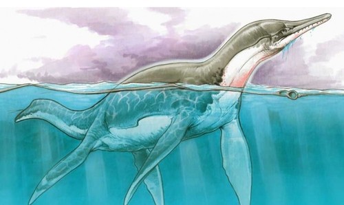 Fotos: CONICET Fotografía. Ilustración Morrosaurus antarcticus: Sebastián Rozadilla. - Ilustración Plesiosaurio: Gabriel Lio.