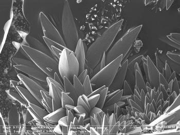 Geosilex visto al microscopio. Foto: Geosilex Trenza Metal.