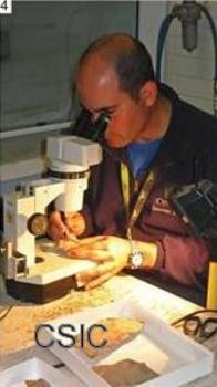 El investigador del CSIC Diego García-Bellido prepara fósiles de Emu Bay Shale en el South Australian Museum.