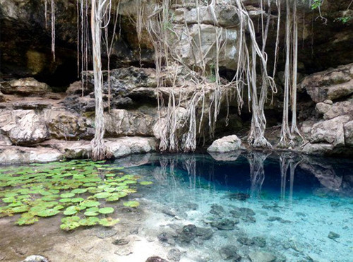  Ante la falta de ríos superficiales que aporten agua para consumo humano, los cenotes son la única fuente hídrica potable en Yucatán, de ahí la importancia de estudiar cómo impacta la contaminación en la calidad del líquido.  FOTO: UNAM.