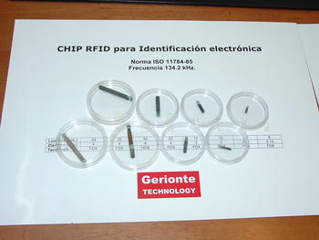 Chips inyectables usados por la empresa Gerionte de distintos tamaños