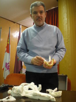 El paleontólogo José Miguel Carretero muestra las reproducciones de algunos de los fósiles hallados en Atapuerca.