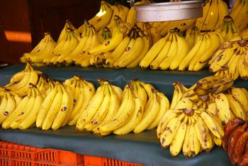 El plátano es un cultivo tan importante para la dieta del mexicano, que supera el consumo de otros productos agropecuarios como el frijol, el arroz y el aguacate. Foto: AMC