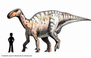 Dinosaurio Iguanodóntido