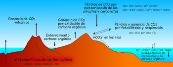 Ciclo del carbono. Imagen: CICESE.