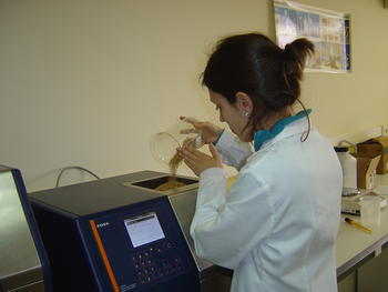Una investigadora del Cetece introduce trigo en la máquina analizadora