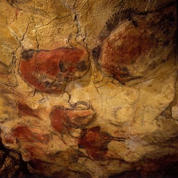 Techo de los Polícromos de la cueva de Altamira bajo los que previamente se realizaron signos y animales rojos. (copyright: Museo de Altamira / Pedro Saura).