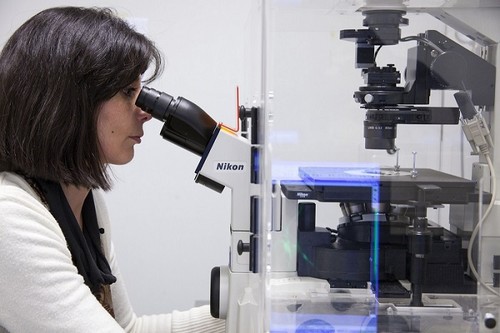 Marcela Brocco, profesora e investigadora del Instituto de Investigaciones Biotecnológicas (IIB), y directora del equipo que llevó a cabo la investigación.