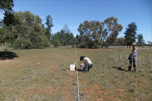 Investigadores recogiendo muestras de suelo en Nueva Gales del Sur (Australia). Foto: David Eldridge. 