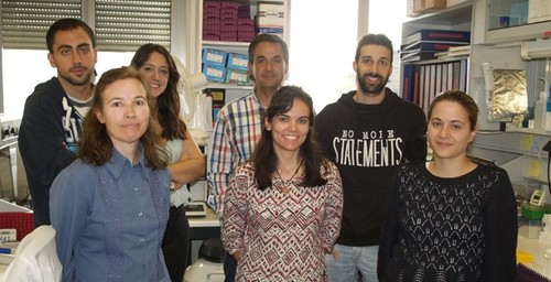Isidro Sánchez y su grupo de investigación. Foto: CIC.
