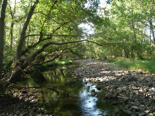 El río Negro, con escaso cauce en verano.