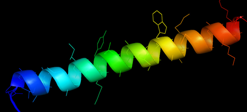 Modelo de péptido patentado. Imagen: UN.