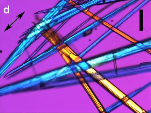 Imagen de luz polarizada de cristales de valproato sódico/International Journal of Biological Macromolecules