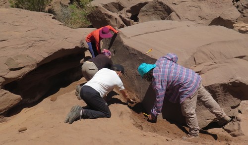 El equipo de investigación del CONICET y de la UBA analizando el bloque de piedra con huellas fósiles de animales que vivieron hace 15 millones de años./CONICET.