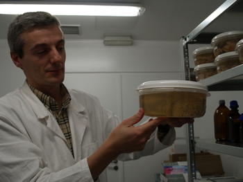 Javier Herrero muestra uno de los cerebros conservados en formol. 