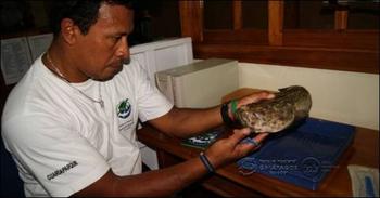 El guardaparque Eduardo Espinoza realiza el análisis del espécimen que fue entregado por un pescador de la comunidad (FOTO: DPNG).