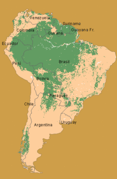 Un mapa con las zonas boscosas de la Amazonía.