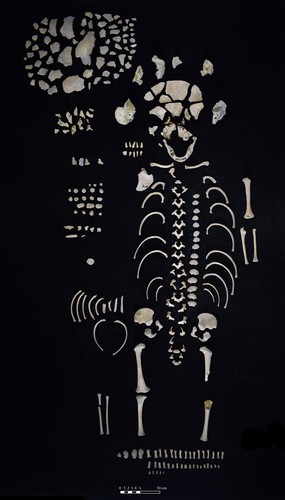 Los restos de un esqueleto juvenil se recuperaron de la ofrenda de la casa de vapor, lo que sugiere una comprensión temprana de la estructura como un lugar de nacimiento y creación humana/David Del Cid. 