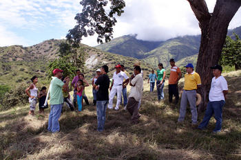 Exitoso proyecto de reforestación en Antioquia (FOTO: UN).