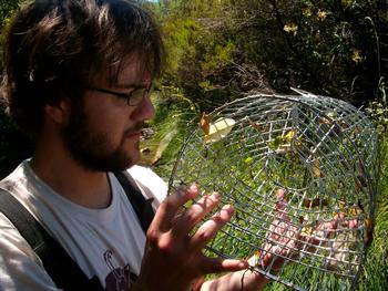 Valentín Arévalo, uno de los autores del estudio, revisa una trampa utilizada para capturar peces. Foto: Pablo García.