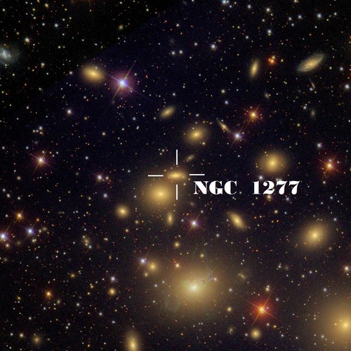 La galaxia NGC 1277 en el cúmulo de Perseo. Créditos: Sloan Digital Sky Survey (SDSS).