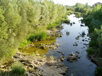 Imagen del río Torío a su paso por la ciudad de León.