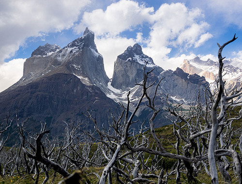 Parque Nacional Torres del Paine. Foto: Nicole Saffie.