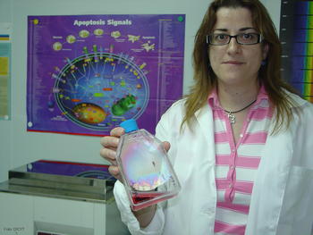 La autora de la tesis, Marta Fernández Baro, sostiene una de las muestras que contiene las células de oveja con las que investiga.
