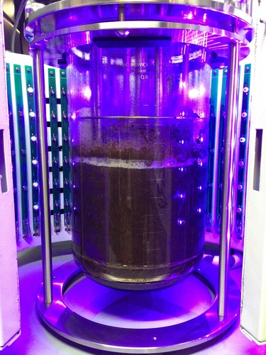 Biorreactor en proceso de producción de la masa rica en polifenoles/Luisa Fernanda Rojas Hoyos.