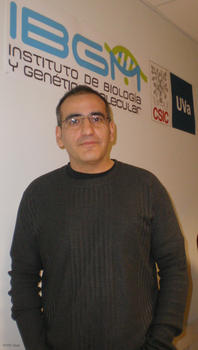 El investigador del Instituto Ramón y Cajal del CSIC, Alfonso Araque.