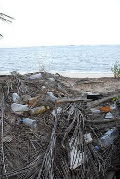 Playa de Costa Rica repleta de residuos plásticos.