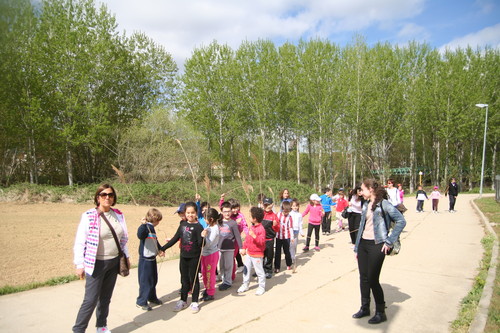 Escolares realizan un paseo botánico. FOTO: Diputación de Palencia.