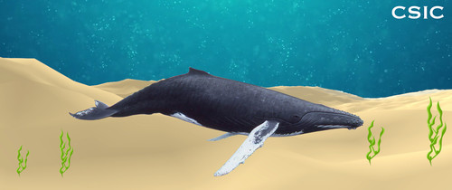 Ilustración de una ballena muerta.