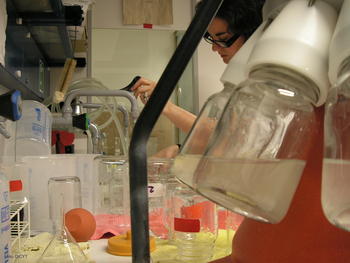 Mariem Saavedra prepara muestras en su laboratorio.