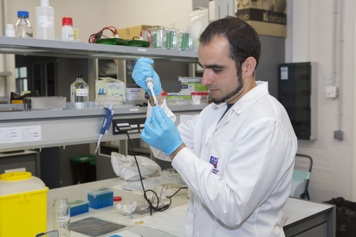 Uno de los investigadores, en el laboratorio. Foto: UJI.