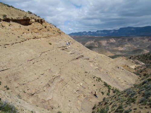Los investigadires recopilan hojas fósiles en el sur de Argentina/Peter Wilf, Penn State