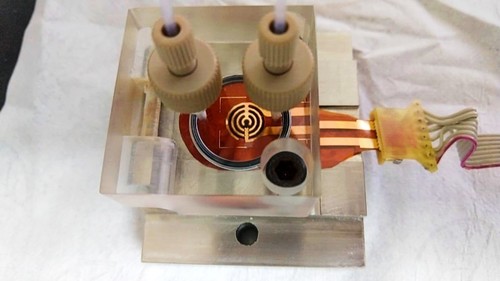 Electrodo desarrollado en la investigación de Zamora en una celda.