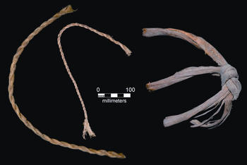 El método de datación por carbono reveló que estos trozos de soga o cuerdas encontrados en la Cueva del Guitarrero tienen 12 mil años de antigüedad. (Foto: Edward A. Jolie y Phil R. Geib)