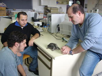 Los investigadores en el laboratorio de la Universidad de Salamanca.