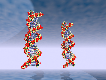 Imagen que reproduce dos cadenas de ADN para ser comparadas