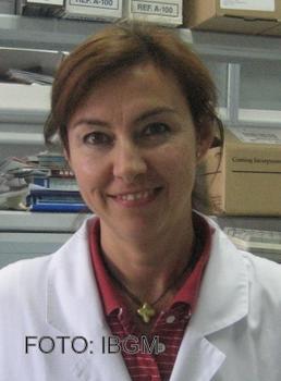 La investigadora del IBGM Mª Jesús Alonso Ramos. 