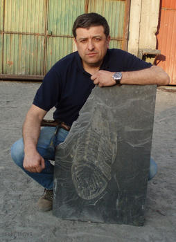 Trilobite hallado en Arouca (Portugal).