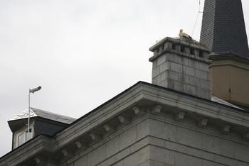 La cámara y las cigüeñas, en el tejado de la Universidad.